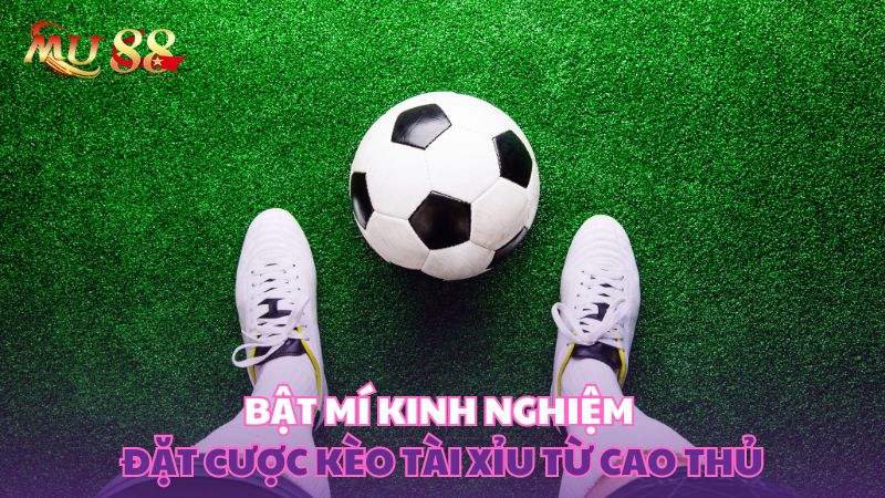 Bật mí kinh nghiệm đặt cược từ cao thủ