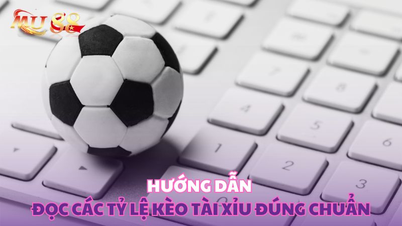 Hướng dẫn đọc các tỷ lệ kèo đúng chuẩn